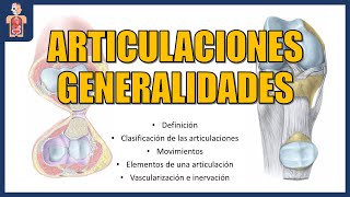 ANATOMY - GENERAL OVERVIEW OF JOINTS