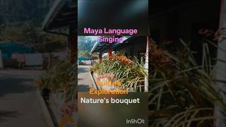 Mopan Maya Language Singing #Cultural Exploration #Shortfeed @Sursangeets2h