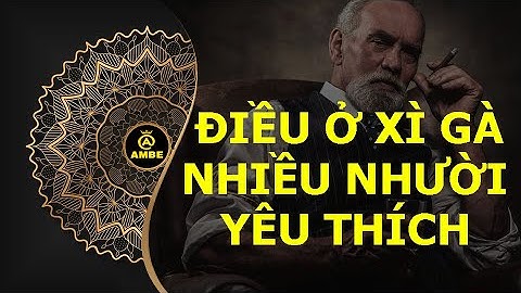 Điều gì ở xì gà khiến nhiều người yêu thích | Những điều thú vị về cigar #2 | Ambe.vn