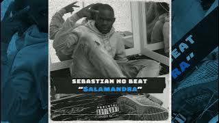 Sebastian No Beat - Salamandra (Instrumental)