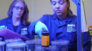 Florida’s Coral Warriors Are Saving Coral Reefs | NSU Ocean Research and Conservation