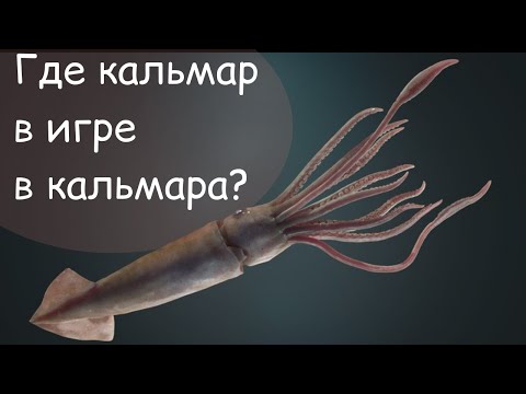 игра в кальмара