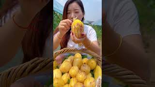 Beautiful Nature With Rural Life