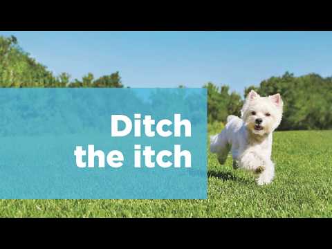 Video: Natura Pet återkallar Kaliforniens Naturliga Hundmat