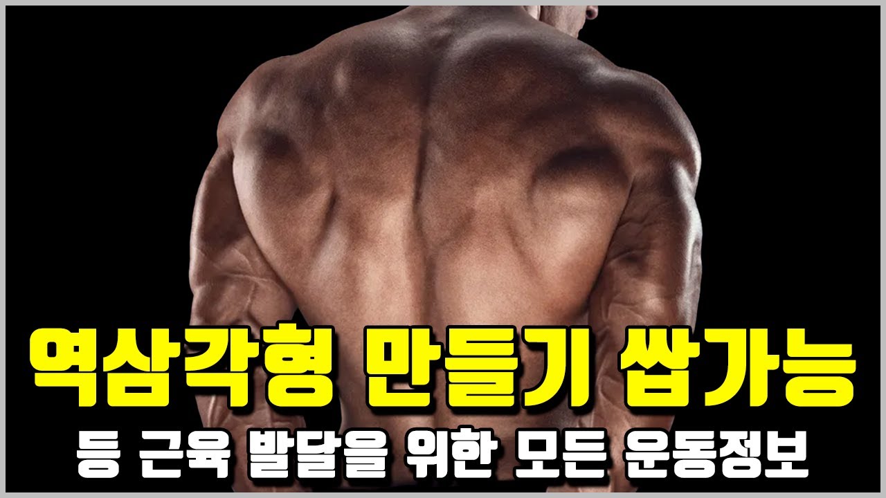등 운동 정보 총모음집[광배근의 운동 역학, 광배근 자극찾는 방법, 바벨 로우, 시티드 로우, 원 암 덤벨로우]