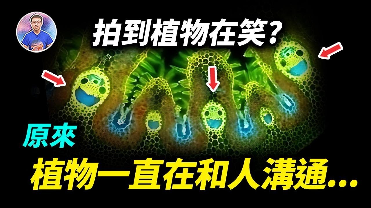 植物是有意識的！萬物有靈的最強證據！【地球旅館】
