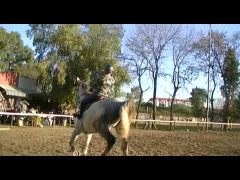Money Farm Playdoit
