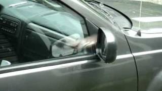 Bird attacking mirror