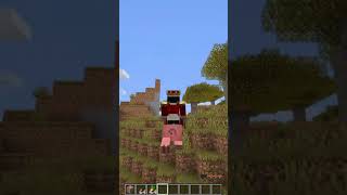 When Pigs Fly with command blocks