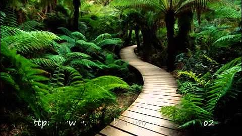 سورة الإنسان مشارى راشد العفاسي تلاوة هادئة مميزة