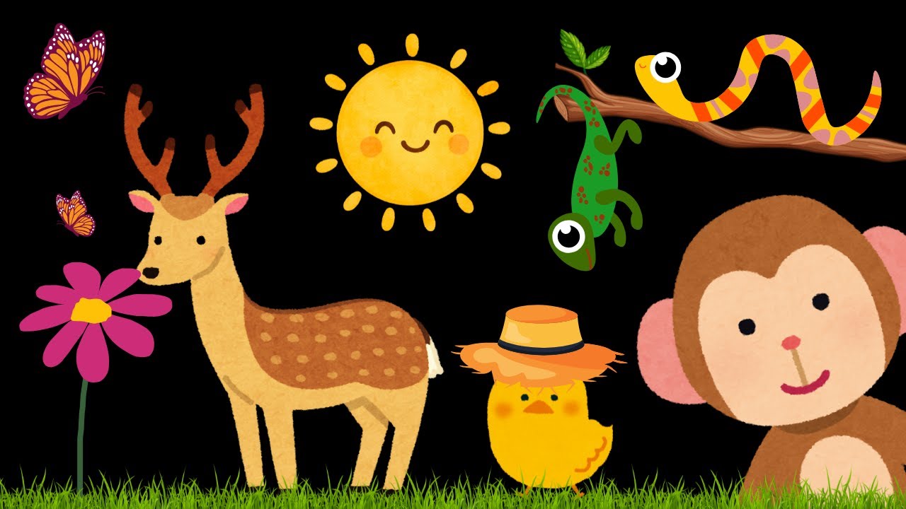 Baby Sensory Video – High Contrast for Newborn – Sensory Videos for Babies - Tummy Time #baby