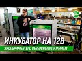 Инкубатор NBF на 12в. с резервным питанием от аккумулятора