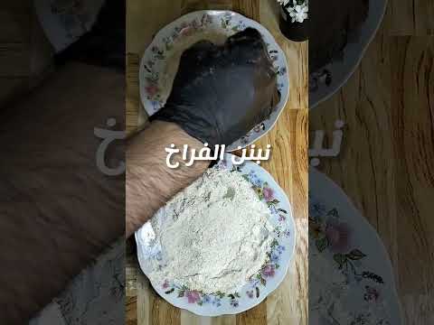 فرايد تشيكن كريسبي يخليك تنسى المطاعم فرايد تشيكن Friedchicken Crispychicken Shortvideo 