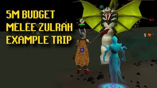 5M Budget Melee Zulrah Dragon Halberd Only Example Trip