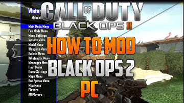 How To Install A Bo2 Mod Menu 2015 Online Pc!