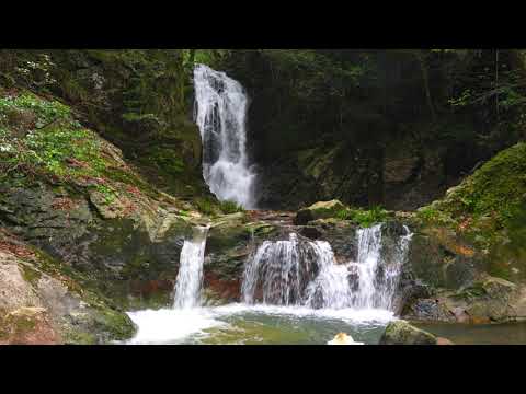 岡山県美作市琴弾の滝 4k Sony A1 テスト Youtube