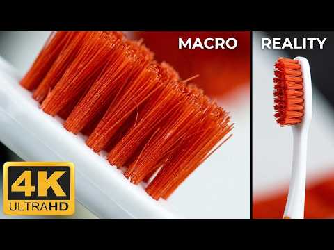 Can You Guess These 12 Everyday Items in Macro? | Close-Up Challenge!