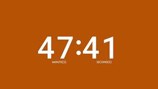 Burnt Orange 60 Minute Countdown Timer - Silent