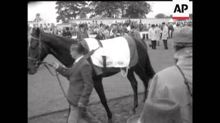 IRISH DERBY - BIG DAY FOR BING