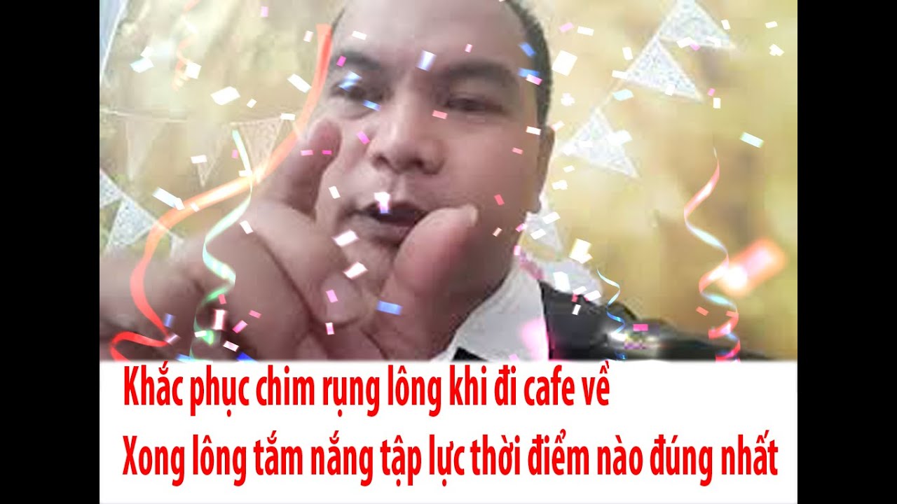 khắc phục chim rụng lông sâu khi đi cafe về