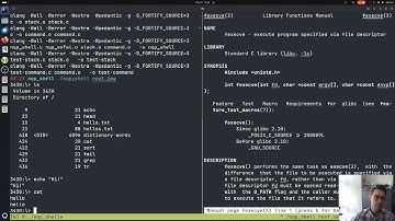 COMP 3430 Summer 2025: Assignment 2 overview