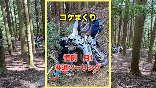 【恒例　月1林道ツーリング】