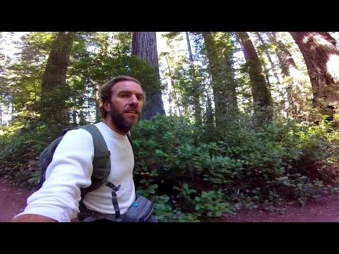 Video: Big Basin Redwoods State Park: Hướng dẫn đầy đủ