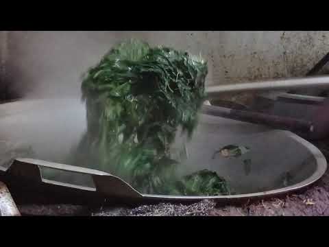 resep rebus daun singkong ala rumah makan padang resep rebus daun singkong ala rumah makan padang