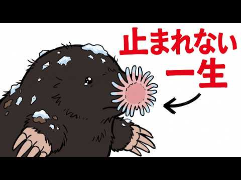 ホシバナモグラに転生したら最悪だった件のサムネイル