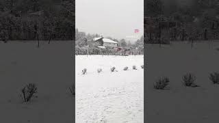 Lago Puelo, Chubut Patagonia Argentina #patoymaxidesdelagopuelo