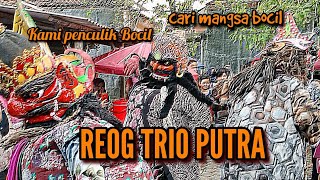 Penculik Bocil || Pagelaran Reog Trio Putra - Lohbener Guri Balaidesa || Culture And Art