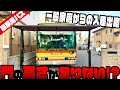 【激狭】一般家庭に大型路線バスを置くとこうなります…。