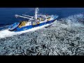 Longline Fishing, Net Fishing Tuna On Vessel - Fishermen Caught Hundreds of Tons of Tuna on The Sea