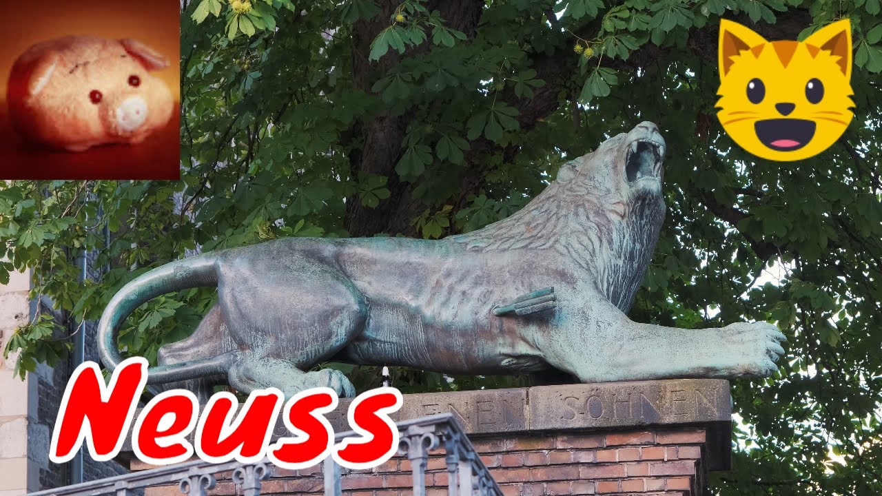 🏙️ НОЙС ЗА 3 ЧАСА