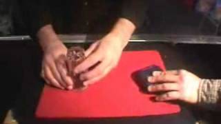 General shop - Pea and Shell Game with Phil Cass