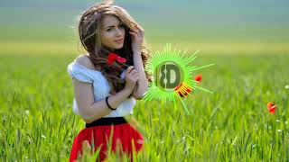 Video Download