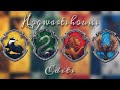 [Harry Potter] Hogwarts houses edits✨