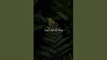 الشيخ ياسر الدوسري || سورة الإسراء #الشيخ_ياسر_الدوسري #قران_كريم