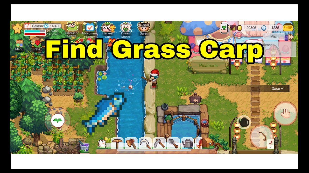 Find Grass Carp Fish in River Bank Manor Harvest Town YouTube