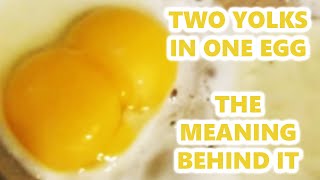 Two Yolks In One Egg The Meaning Behind It