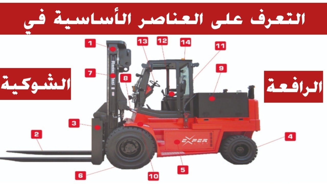 التعرف على عناصر الأساسية في الرافعة الشوكية