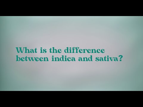 Debunking the Indica vs. Sativa Myth: Science with Nick Jikomes