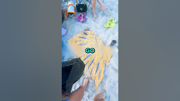 Disrespectfull Guests At The Beach 🤯