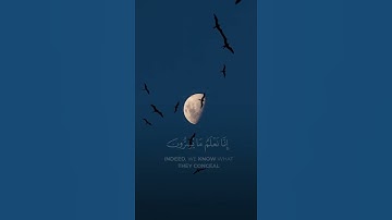 فلا يحزنك قولهم القارئ احمد خضر❤️