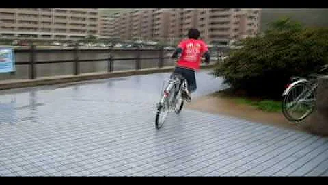 チャリドリ