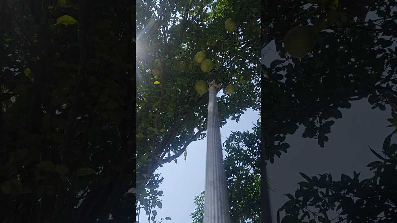 Kochi do you want comment#