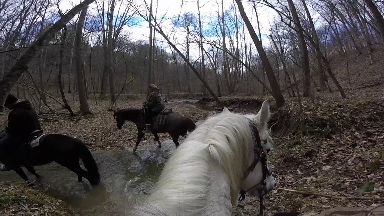Trail Riding at Brown County Horse Cam YouTube