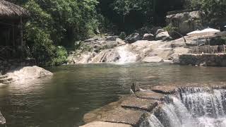 Predator movie set Puerto Vallarta!