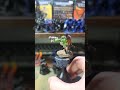 Warhammer 40k Ork Beast Snagga boy don't forget to subscribe #warhammer40k #orkes