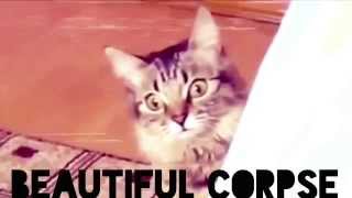 The Bloody Jug Band - Beautiful Corpse (En Snares REMIX)